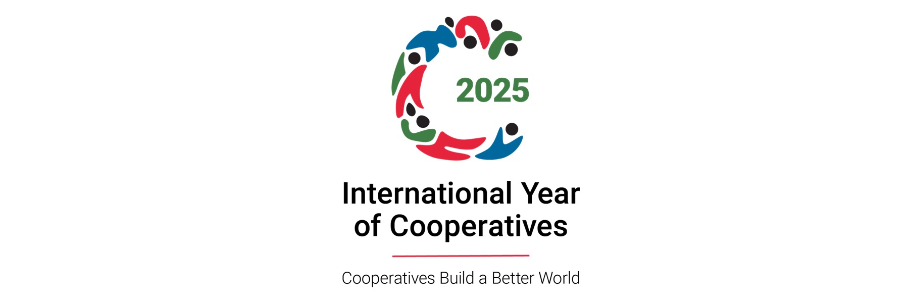 International Year of Cooperatives (IYC)  
